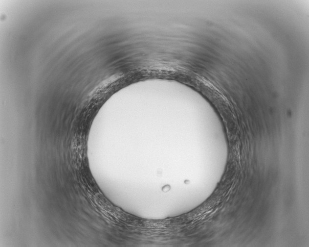 X0000086880870200705141408