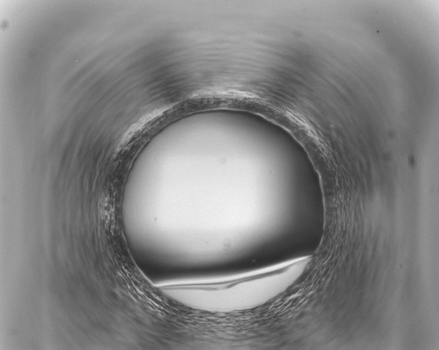 X0000086880872200705141408