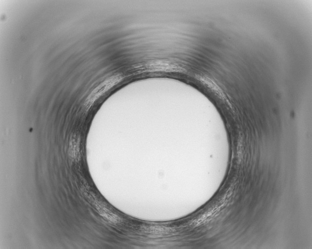 X0000086880873200705141408