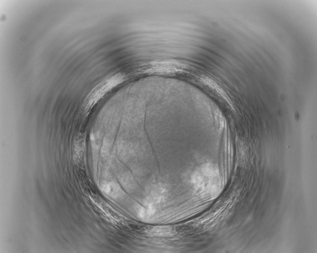 X0000086880874200705141408