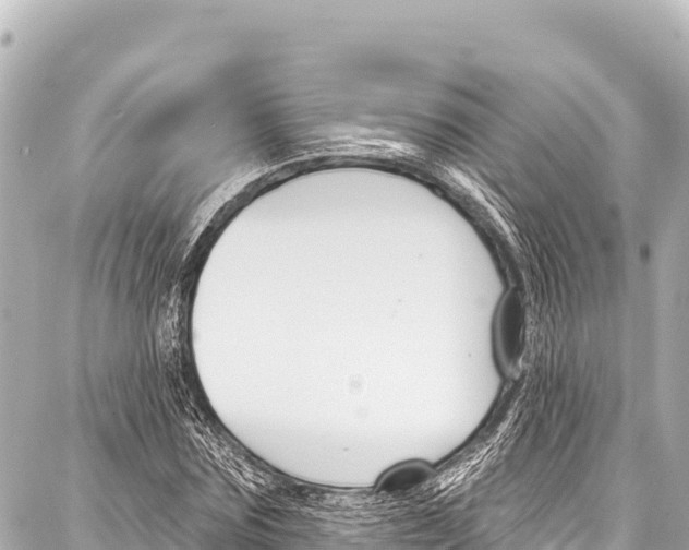 X0000086880875200705141408