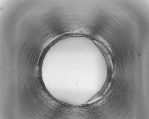 X0000086880876200705141408