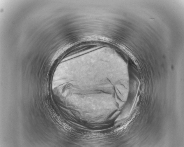 X0000086880877200705141408