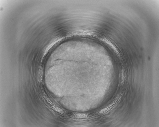 X0000086880878200705141408