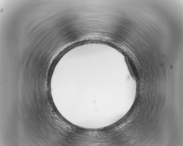 X0000086880880200705141407