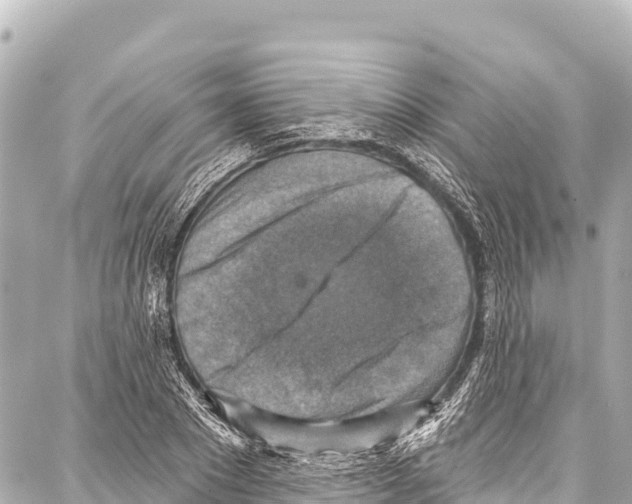 X0000086880881200705141407