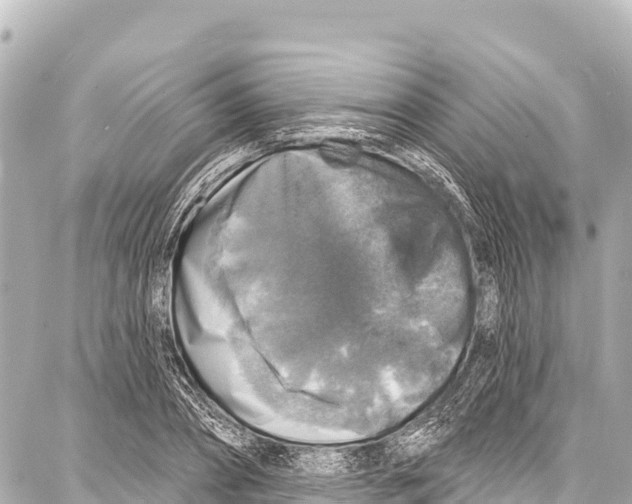 X0000086880882200705141407