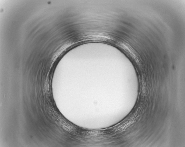 X0000086880883200705141407