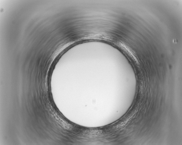 X0000086880884200705141407