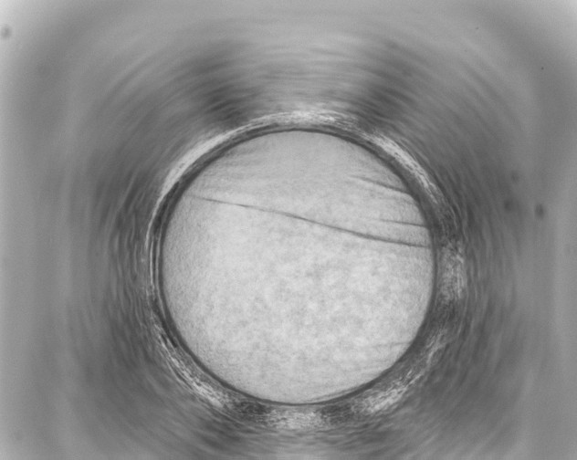 X0000086880886200705141407