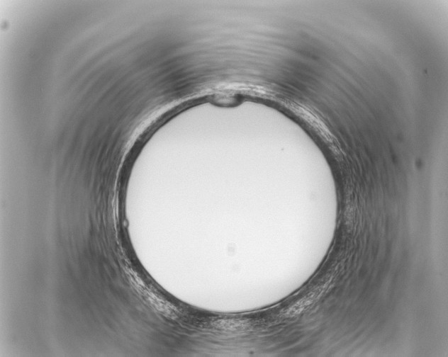 X0000086880888200705141407