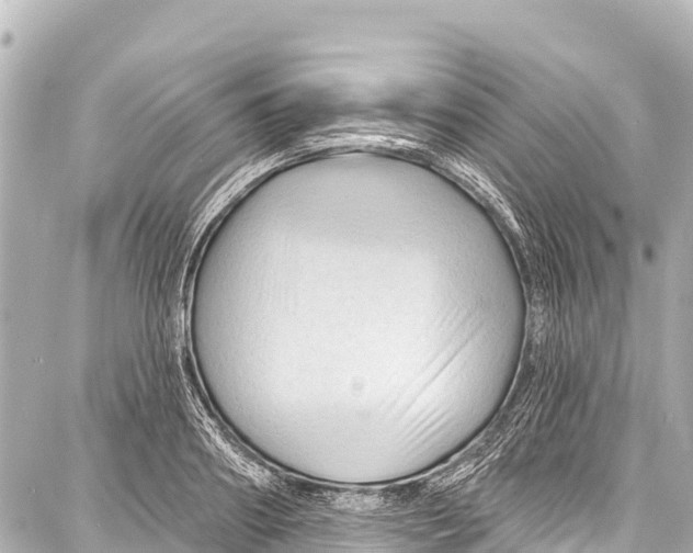 X0000086880890200705141407