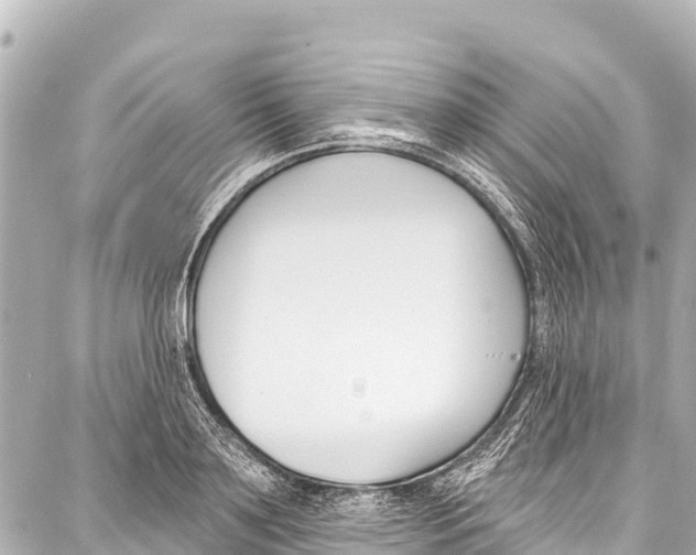 X0000086880891200705141407