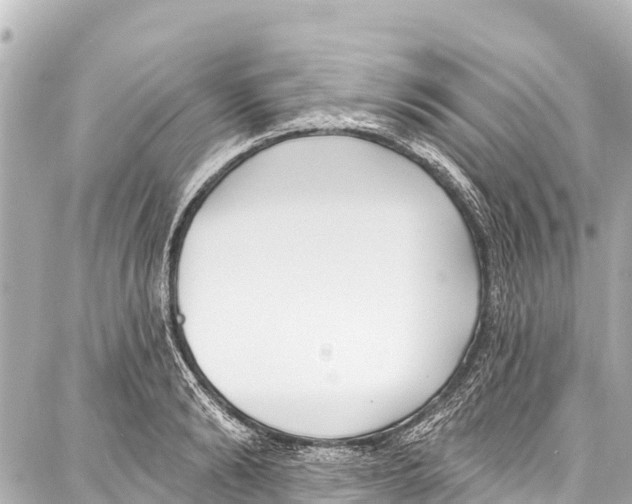 X0000086880894200705141407