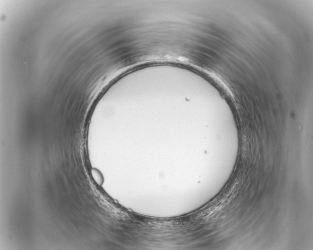 X0000086880895200705141407