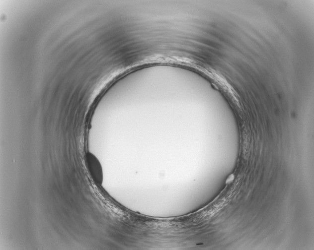 X0000086880896200705141407