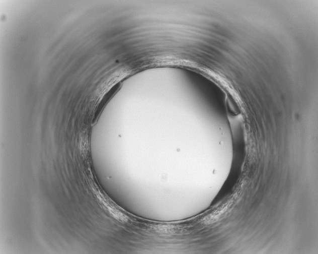 X0000086880897200705141407