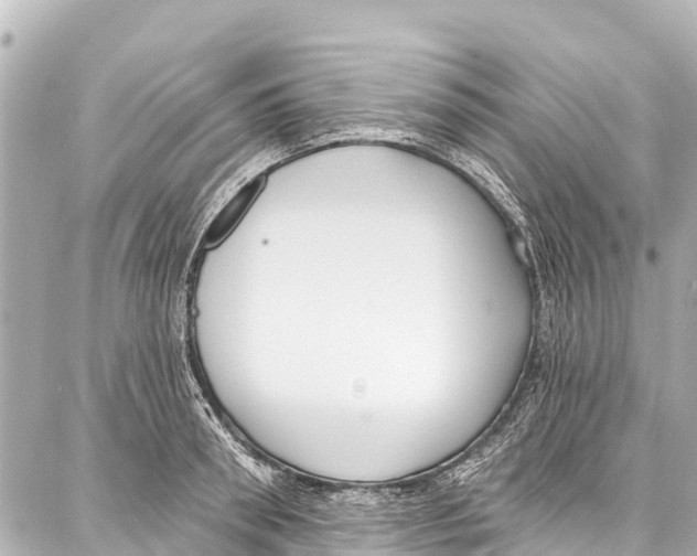 X0000086880898200705141407