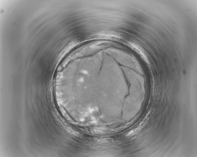 X0000086880899200705141407