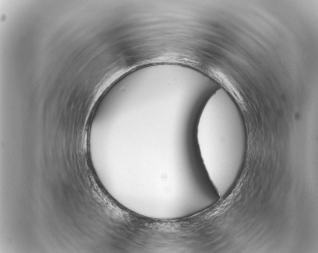 X0000086880900200705141407