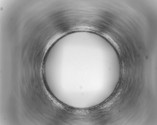 X0000086880901200705141407