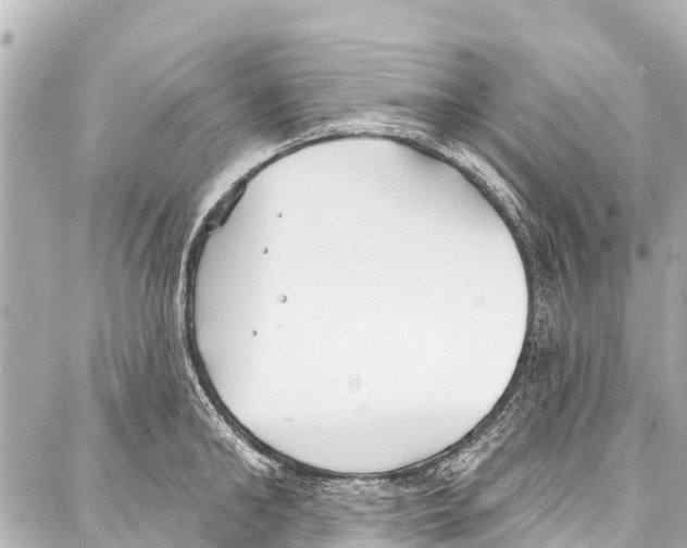 X0000086880902200705141407