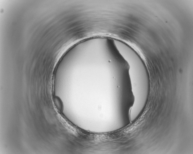 X0000086880903200705141407