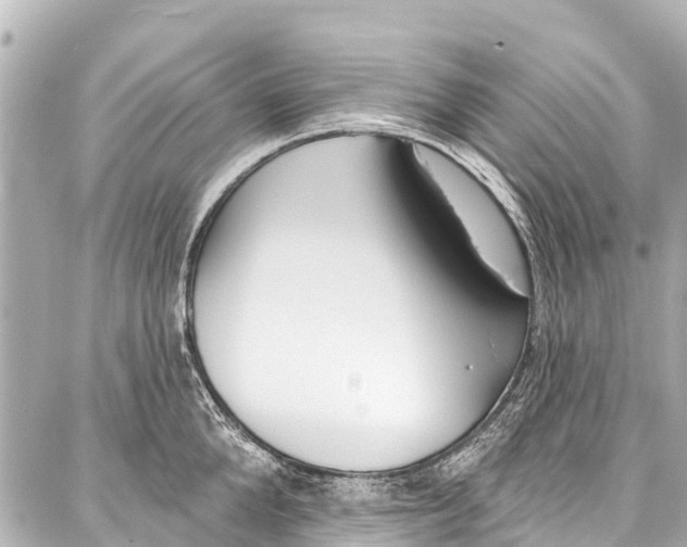 X0000086880904200705141407