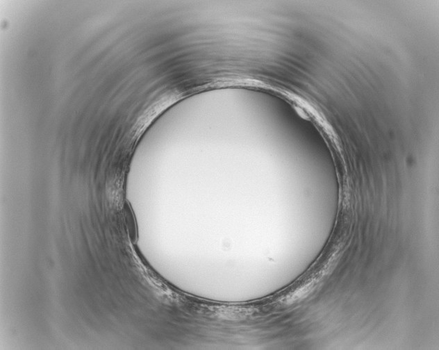 X0000086880905200705141407