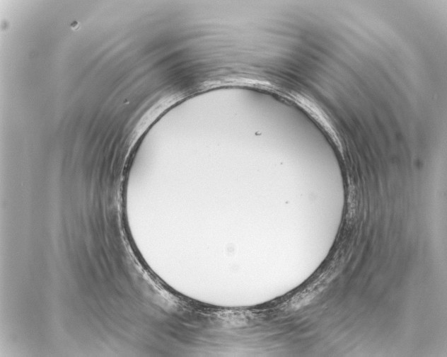 X0000086880906200705141407