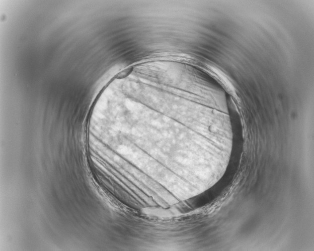 X0000086880907200705141407