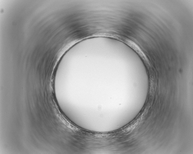 X0000086880908200705141407