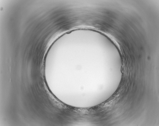 X0000086880911200705141407