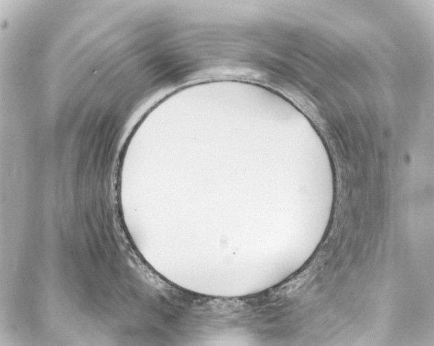 X0000086880912200705141407