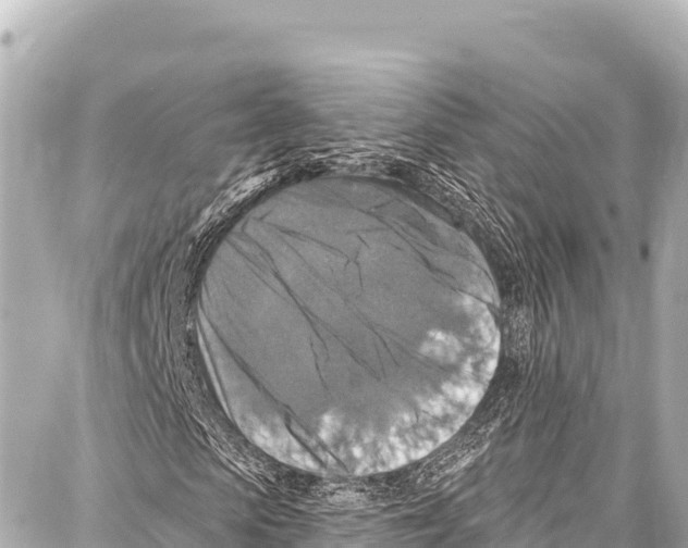 X0000086880913200705141406