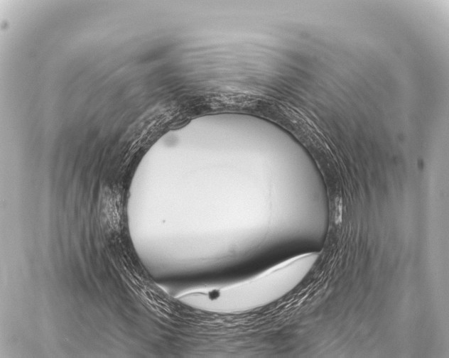 X0000086880915200705141406