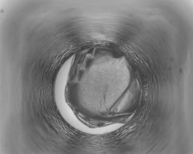 X0000086880916200705141406