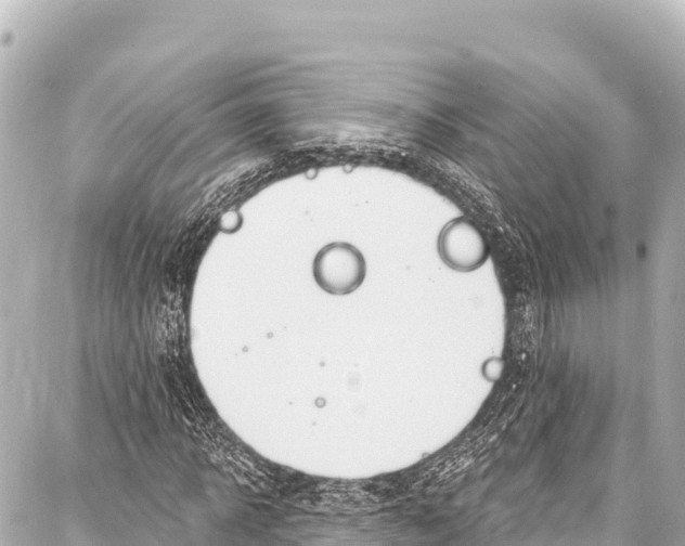 X0000086880918200705141406