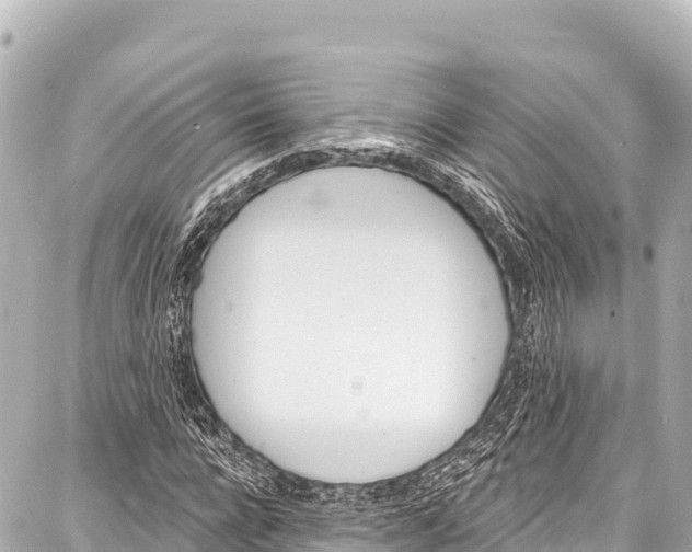 X0000086880920200705141406