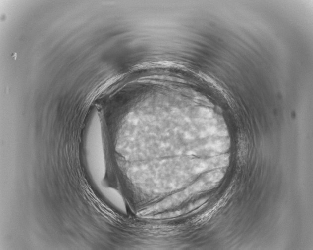 X0000086880921200705141406