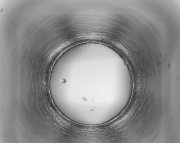 X0000086880922200705141406