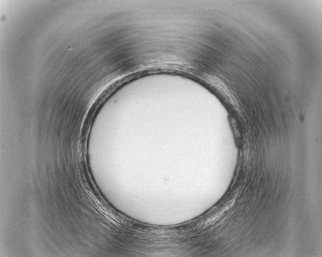 X0000086880924200705141406