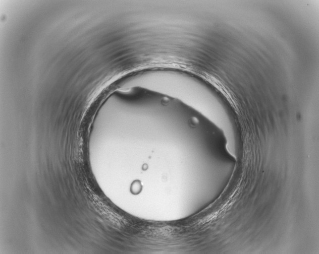 X0000086880926200705141406