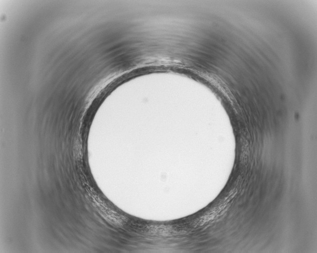 X0000086880927200705141406