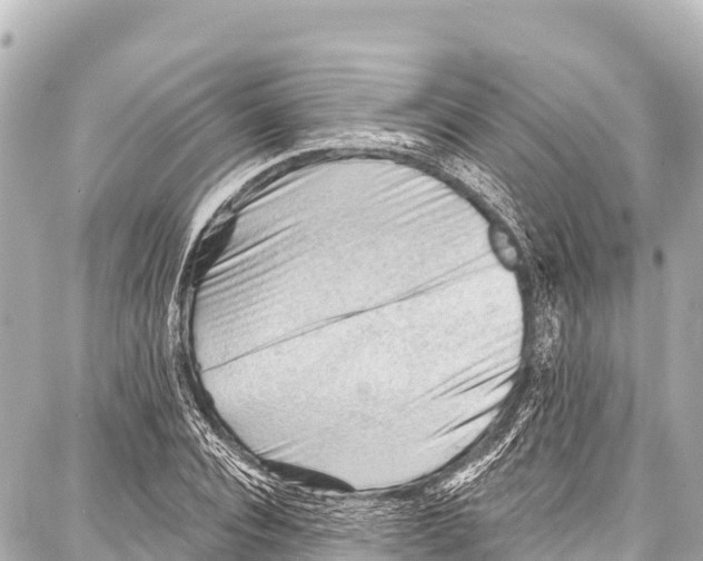 X0000086880928200705141406