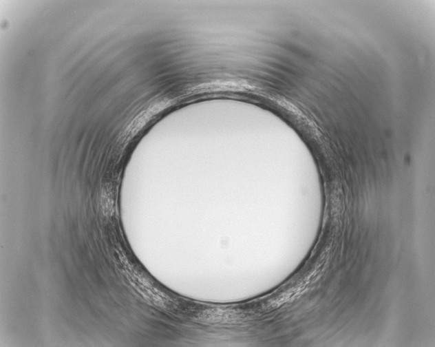 X0000086880929200705141406