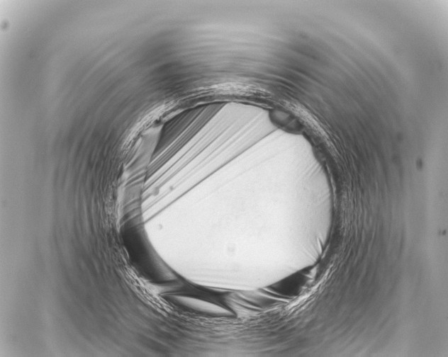 X0000086880930200705141406