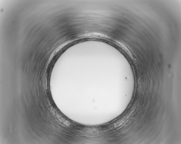 X0000086880931200705141406