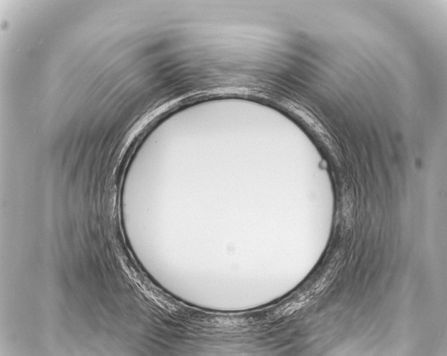 X0000086880933200705141407