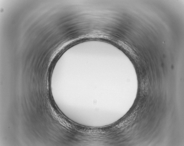 X0000086880934200705141407